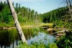 Prariebee River