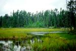 Prariebee River