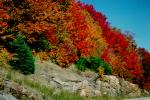 Fall colours on the main highway, 62
