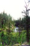 One of the small lakes/marsh in the area